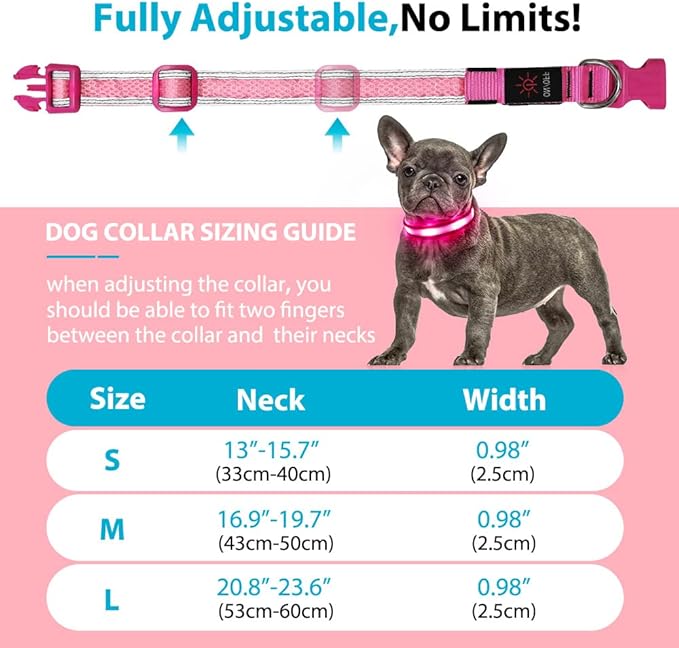 BSEEN Light Up Dog Collar - Glow in The Dark LED Dog Collar Rechargeable, Reflective Puppy Collar, Dog Camping Gear Dog Collar Light for Night Walking (Medium, Pink Ⅱ)