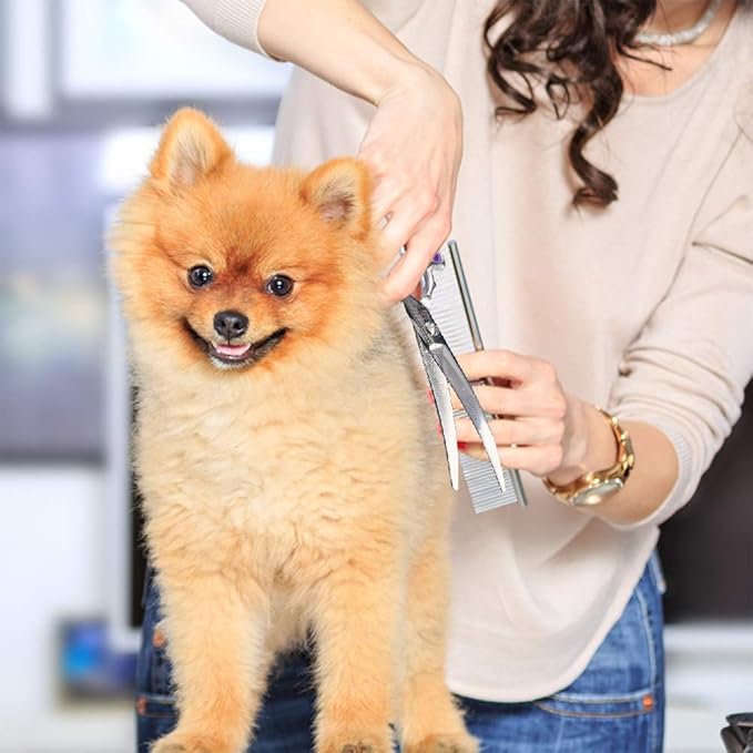 Grooming Pet Shear, 6.5 Inch Downword Curved Scissors, Curved Shears for Cat Shears and Small Dog Shears Or Any Breed Trimming Cuts, Design for Professional Pet Groomer