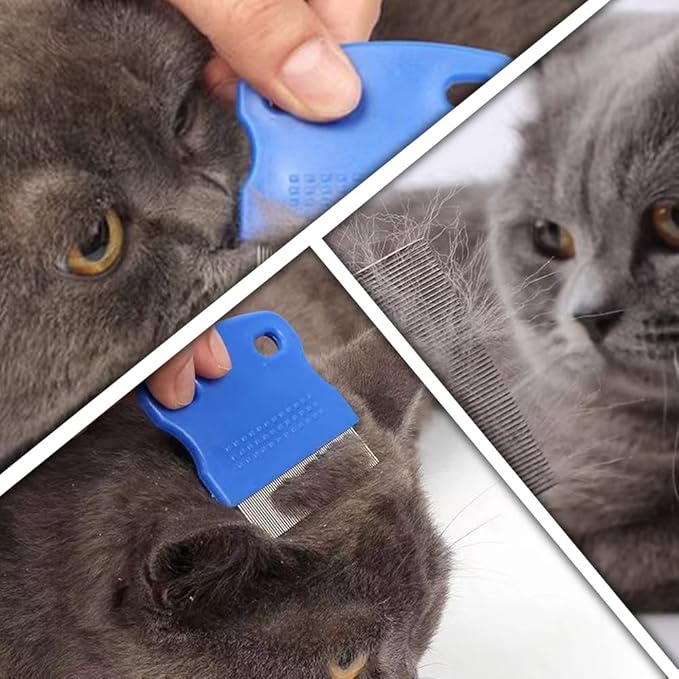 6 Pcs Dog Cat Hair Removal Massaging Combs, Dandruff & Stain Remover (Random Colour)