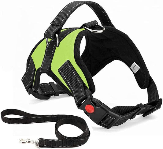 No Pull Dog Harness, Breathable Adjustable Comfort, Free Leash Included, for Small Medium Large Dog, Best for Training Walking Green XS