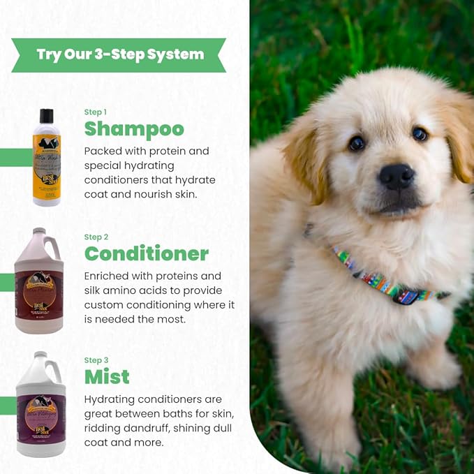 Best Shot Ultra Wash Too Shampoo with Pet Coat Release Technology, Coat and Skincare Product for Dogs and Cats, Quick-Rinsing, 16 oz