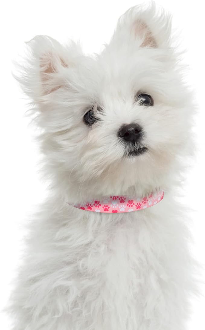 Mile High Life Dog Collar | Nylon Puppy Collars w Cute Patterns | Lightweight Girl Dog Collar | Boy Dog Collar for Small/Medium/Large Dogs (Pink Foot, Large)