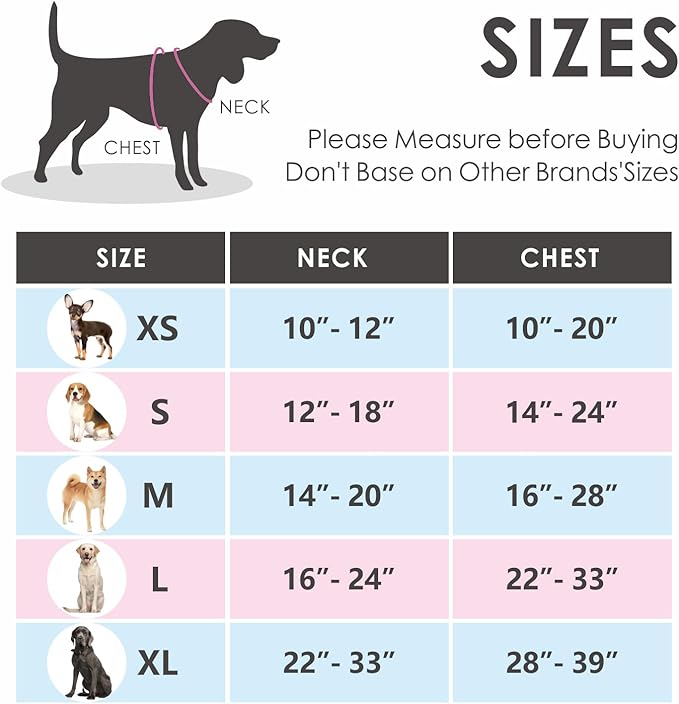 PHOEPET No Pull Dog Harness Medium Reflective Front Clip Vest with Handle,Adjustable 2 Metal Rings 3 Buckles,[Easy to Put on & Take Off](XL, Royal Blue)