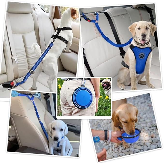Lukovee Dog Seatbelt Leash for Cars, 2 Pack Pet Safety Car Seat Belt with Adjustable Buckle & Reflective Bungee, Connect Dog Harness in Vehicle Car Dogs Restraint Travel Daily Use (Blue)