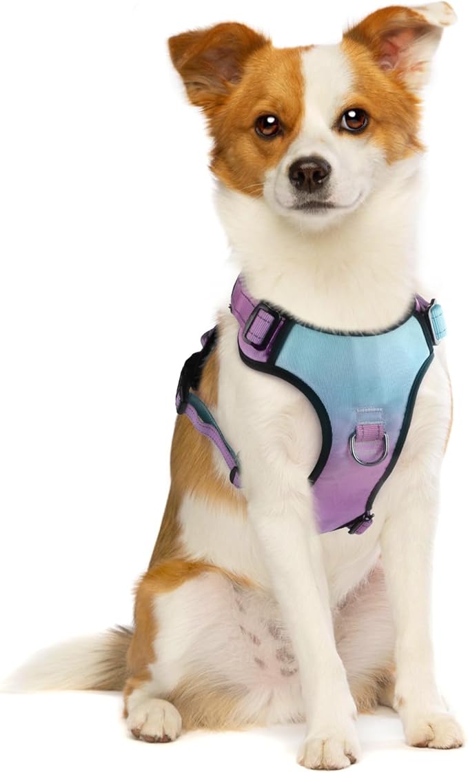 QQPETS No Pull Dog Harness with 2 Leash Clips，Adjustable Soft Padded Dog Vest, Reflective Outdoor Pet Oxford Vest with Easy Control Handle for Small to Large Dogs Walking Training