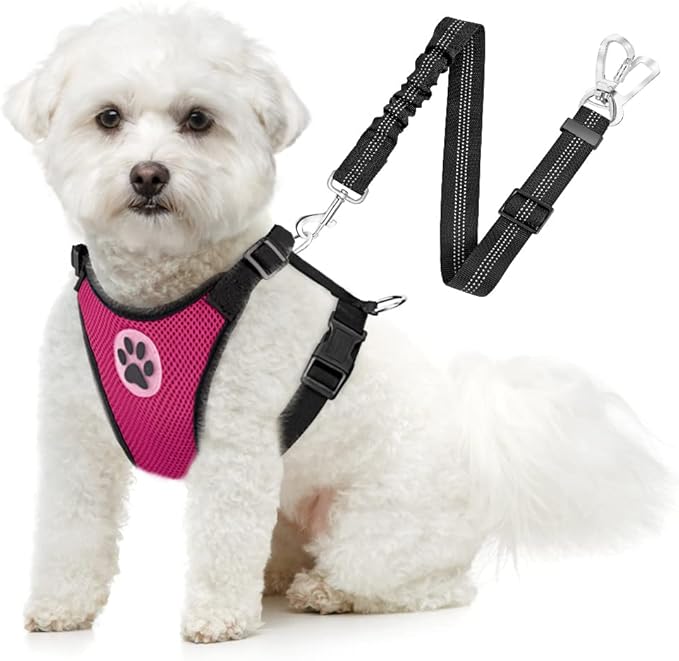 SlowTon Dog Seat Belt Harness for Car, Dog Car Harness Adjustable Mesh Breathable & Dog Seatbelt Safety Tether with Elastic Bungee for Small Medium Large Pets(Fuchsia, Double Clip, XXXS)