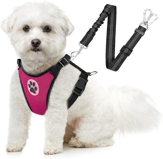 SlowTon Dog Seat Belt Harness for Car, Dog Car Harness Adjustable Mesh Breathable & Dog Seatbelt Safety Tether with Elastic Bungee for Small Medium Large Pets(Fuchsia, Double Clip, XXXS)