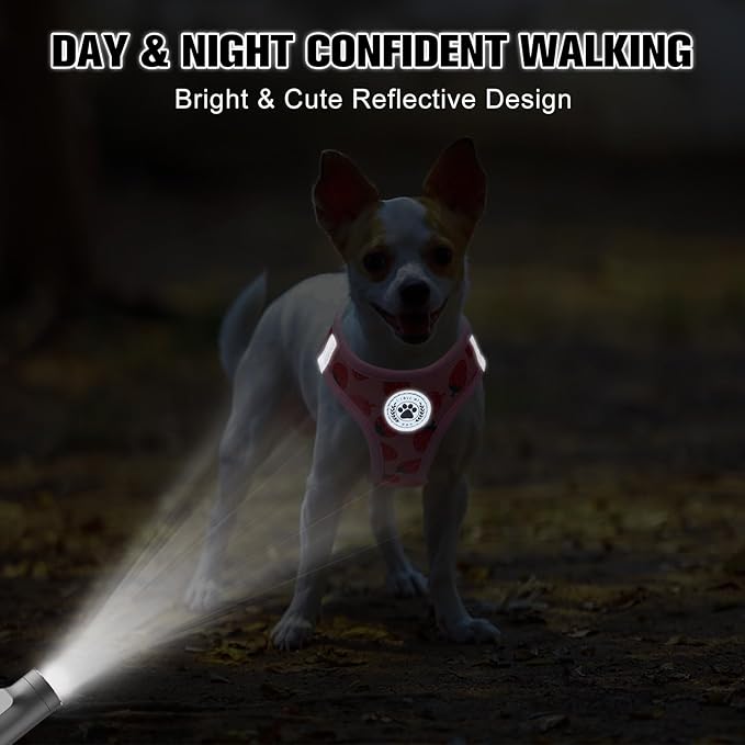 BEAUTYZOO Step in Dog Harness and Leash Set,Reflective Dog Harness No Pull No Choke Puppy Harness for Small Medium Large Dogs Cats,Soft Padded Mesh Vest Harnesses for Girl and Boy Pets, Strawberry M