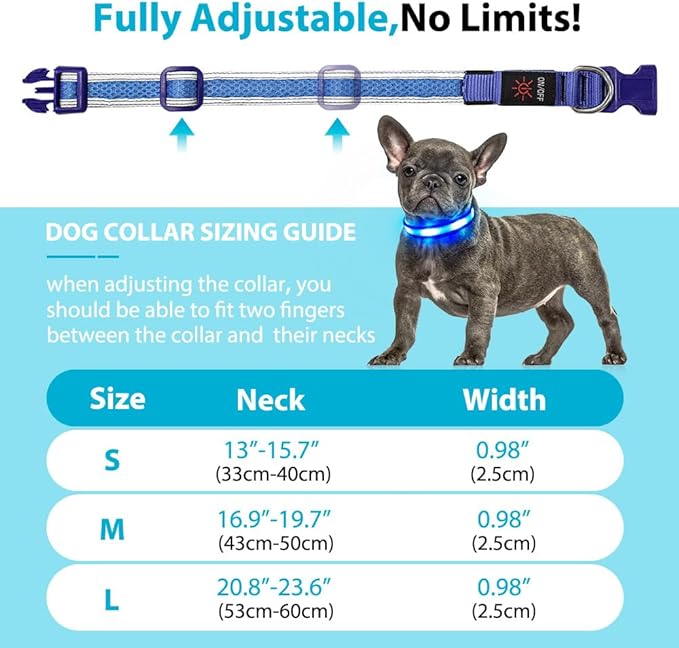 BSEEN Light Up Dog Collar - LED Dog Collar Rechargeable, Adjustable Reflective Dog Collar, Glow in The Dark Dog Camping Gear Dog Lights for Night Walking (Large Collar, Royal Blue)
