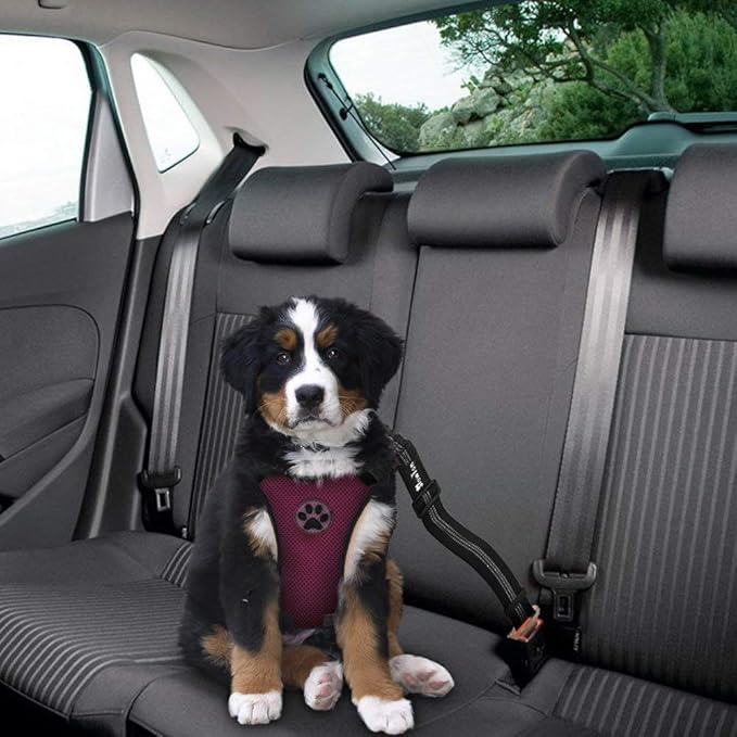 SlowTon Dog Seat Belt Harness for Car, Dog Car Harness Adjustable Mesh Breathable & Dog Seatbelt Safety Tether with Elastic Bungee for Small Medium Large Pets(Burgundy, Single Clip, XS)