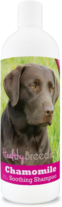 Healthy Breeds Labrador Retriever Chamomile Soothing Dog Shampoo 8 oz