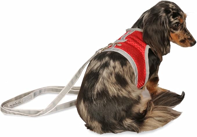 Athletic Mesh Dog Harness for Teacup, Teacup 4 - Small Dogs and Puppies | Reflective Trim and Comfortable Velcro Closure
