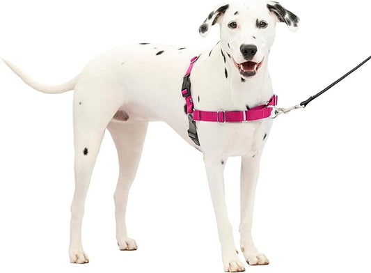 PetSafe Easy Walk No-Pull Dog Harness - The Ultimate Harness to Help Stop Pulling - Take Control & Teach Better Leash Manners - Helps Prevent Pets Pulling on Walks, Medium/Large, Raspberry/Gray