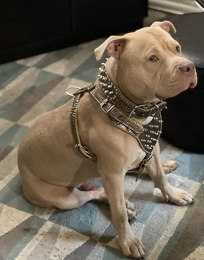 Leather Spiked Studded Harnesses, Collars & Leashes 3Pcs Matching Set for Medium & Large Dogs Pitbull,Mastiff, Boxer, Bull Terrier (Gold Brown, XL)