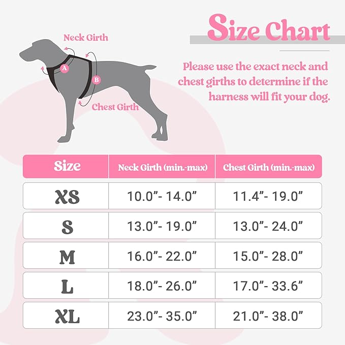 rabbitgoo No-Pull Pet Harness with 2 Leash Clips, Adjustable Soft Padded, Reflective No-Choke Pet Oxford Vest with Easy Control Handle for Large Dogs, Pink, L