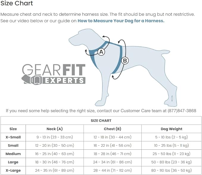 Kurgo Tru-Fit Smart Harness, Dog Harness, Pet Walking Harness, Quick Release Buckles, Front D-Ring for No Pull Training, Includes Dog Seat Belt Tether (Black, Medium)