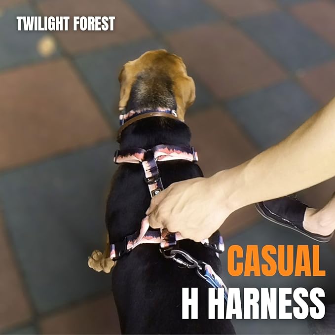 Casual H Dog Harness, No-Pull Pet Harness with 2 Leash Clips, Twilight Forest Gradiant Color, Adjustable Soft Padded Dog Vest for Small Medium Large Dogs (XL)