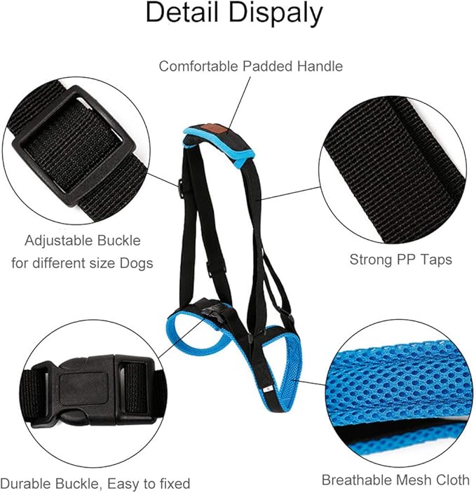 Adjustable Pet Dogs Lift Support Harness Breathable Mesh Padded Sling Straps Canine Support Rehabilitation for Injuries Arthritis Weak hind Legs & Joints, Blue (XL)