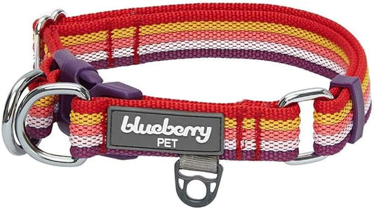 Blueberry Pet 3M Reflective Dog Collars | Adjustable Dog Collar w/Multi-Colored Stripe - Mixed Tone Rainbow Color | Nylon Pet Collars for Dogs & Refflective Dog Collar for X-Large Dogs