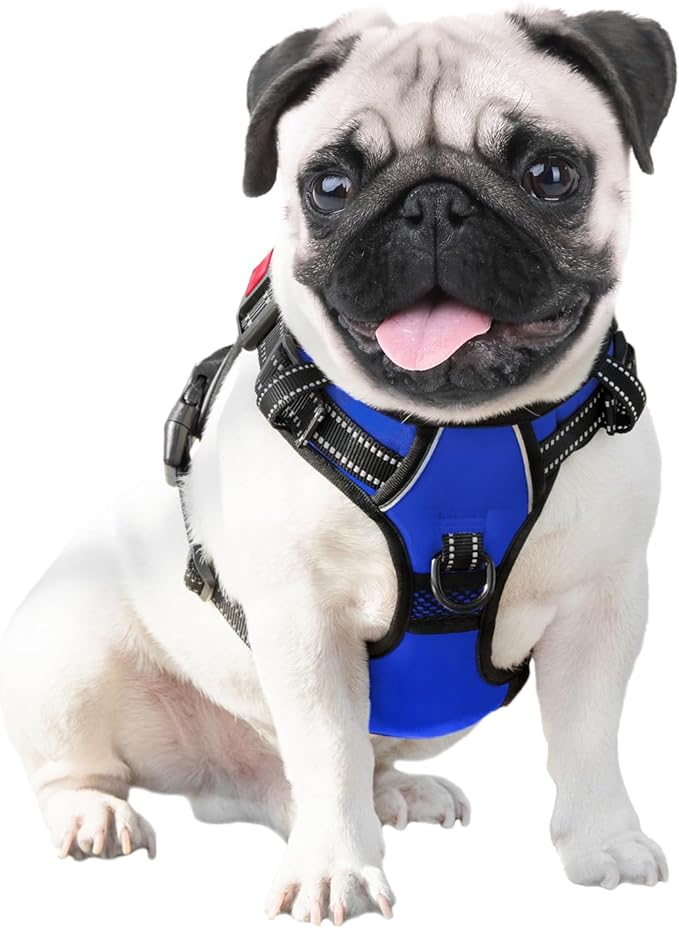PHOEPET No Pull Dog Harness Medium Reflective Front Clip Vest with Handle,Adjustable 2 Metal Rings 3 Buckles,[Easy to Put on & Take Off](S, Royal Blue)