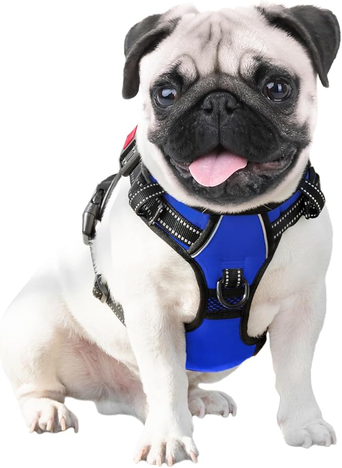 PHOEPET No Pull Dog Harness Medium Reflective Front Clip Vest with Handle,Adjustable 2 Metal Rings 3 Buckles,[Easy to Put on & Take Off](XL, Royal Blue)