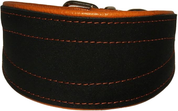 Real Leather Extra Wide Padded Tapered Dog Collar Glossy Black Greyhound Saluki Deerhound Lurcher Whippet Dachshund (10"-11.25" Neck; 2" Wide, Toffee)