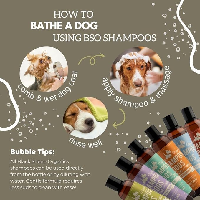 Lemongrass & Mint Dog Shampoo-Natural Refreshing Scent-Anti Itchy After Outdoor Activities