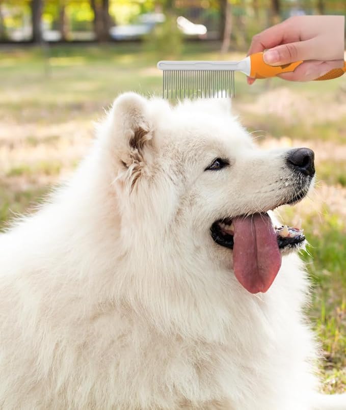 Cute to the Bone Pet Grooming Comb for Long, Curly or Silky Hair Dog and Cat, Stainless Steel Teeth for Dematting and Detangling, Safe for Home Use, Orange