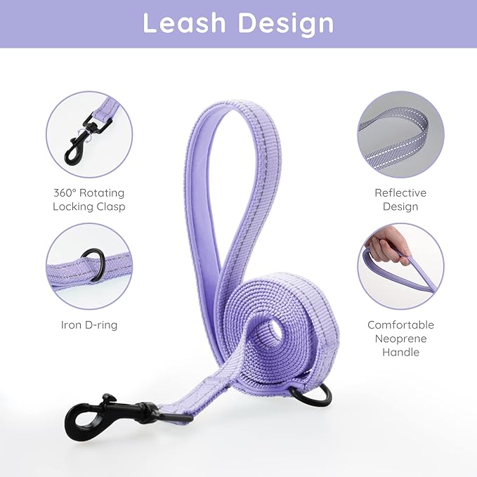 BELLA & PAL Puppy Harness with Leash Set, Dog Harness for Small Dogs No Pull, Dog Leash for Small Dogs, Step in Harness for Extra Small Dogs, Purple Lavender Harness, M