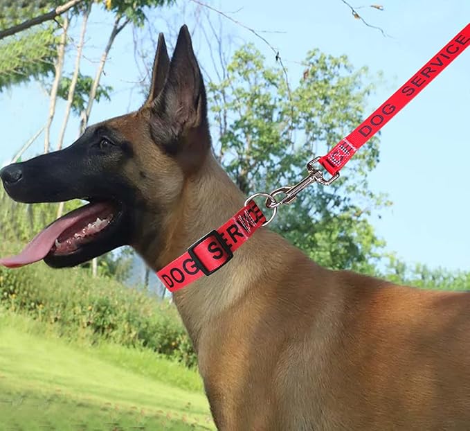 MayPaw Service Dog Collar, 1” and 1.5” Wide Dog Collar Strong Nylon Medium Large Extra-Large Dog Collar (Neck Fit 17.5-27",1.5" Wide, red)