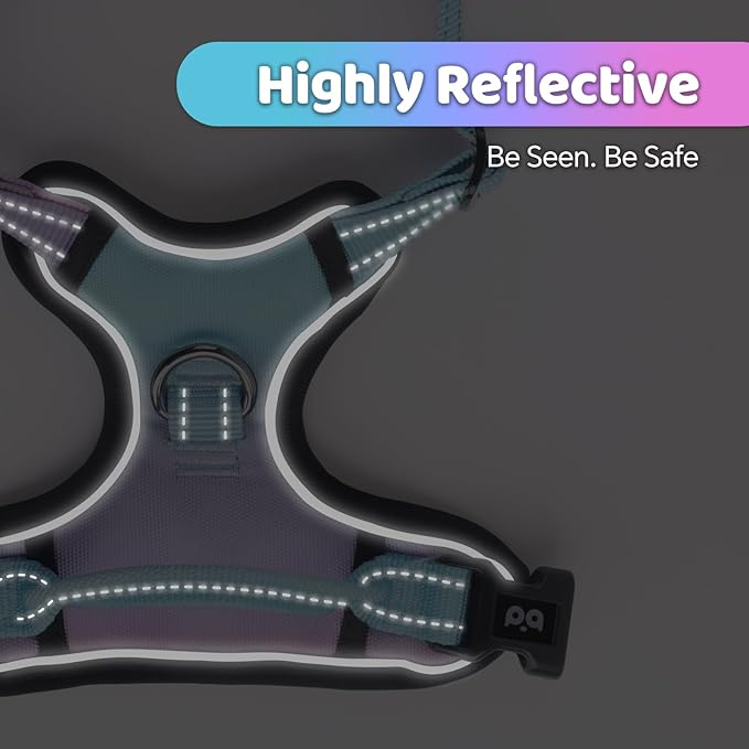 QQPETS No Pull Dog Harness with 2 Leash Clips，Adjustable Soft Padded Dog Vest, Reflective Outdoor Pet Oxford Vest with Easy Control Handle for Small to Large Dogs Walking Training