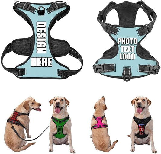 Personalized Dog Vests Customization for Puppy Medium Large Sized Dogs, Customize No Pull Dog Harnesses with Easy and Adjustable Wearing Buckles, PowderBlue, L