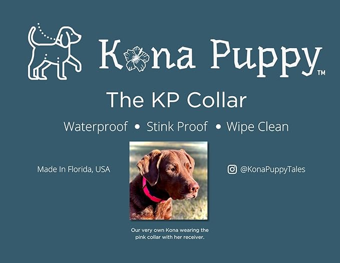 Waterproof E-Collar Replacement Strap Dog Collar for Invisible Fence/ecollar - Easy On Bungee (1" Wide, Bright Orange)