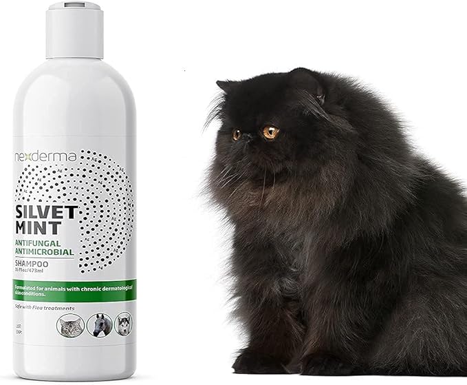Natural Colloidal Medicated Pet Shampoo for Dogs and Cats - Tearless Hypoallergenic, Soap Free with Coconut Oil and Mint, Relief for Allergies, Odor, Itchy, Dry, Irritated Skin - 16oz, 1Pack