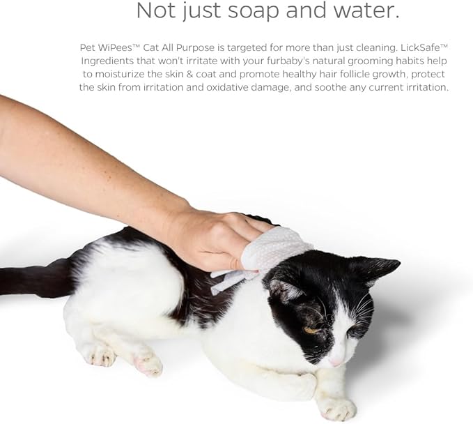 Pet Parents® Pet WiPees™ Cat All Purpose Cat Wipes, Pet Wipes, All Purpose Wipes for Cats & Cat Bath Wipes, Cat Cleaning Wipes (100 Count (Pack of 2), Calming)