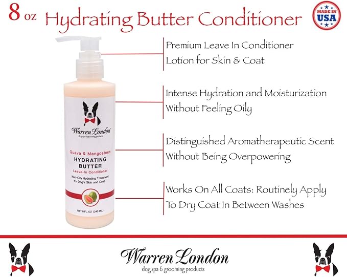 Warren London Dog Gift Box