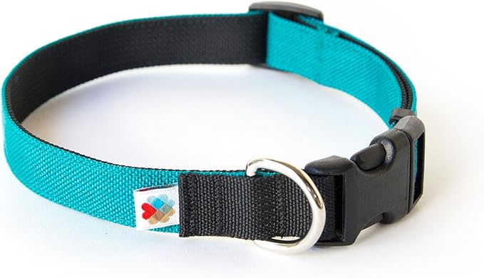 Dog Collar, Lightweight, Heavy Duty Dog Collar with Buckle, Fabric Pet Collar, Breathable & Adjustable Puppy Collar, Dog Collars for Small Dogs (Turquoise, Small - 8-12 Inch) - Wildebeest