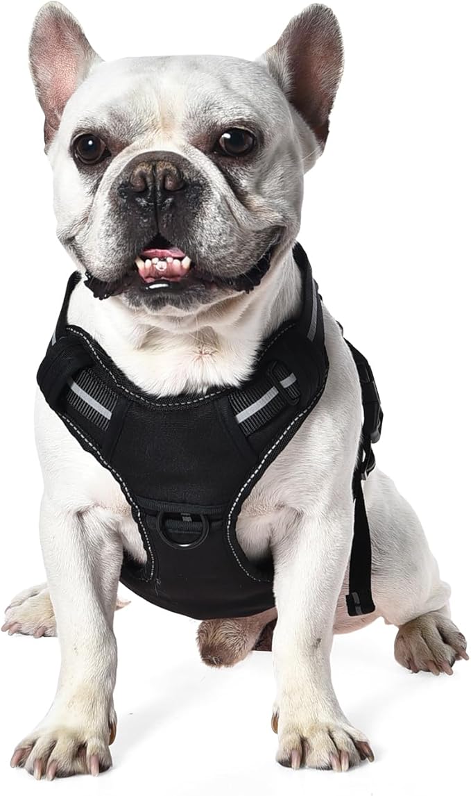 Amazon Basics No Pull Dog Harness, Adjustable Front Clip, Tactical Vest, Medium, Black