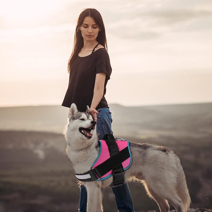 Bolux Dog Harness, No-Pull Reflective Dog Vest, Breathable Adjustable Pet Harness with Handle for Outdoor Walking - No More Pulling, Tugging or Choking X-Small (Pack of 1) RoseTurquoise