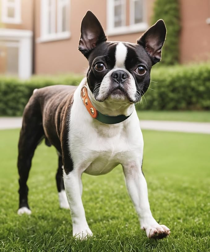 Premium Genuine Leather Dog Collar - Durable 4.5mm Thick, Color-Blocking Design with Rose Gold Hardware, Available in 4 Sizes for Small, Medium and Large Dogs, Green 13.5-17 in