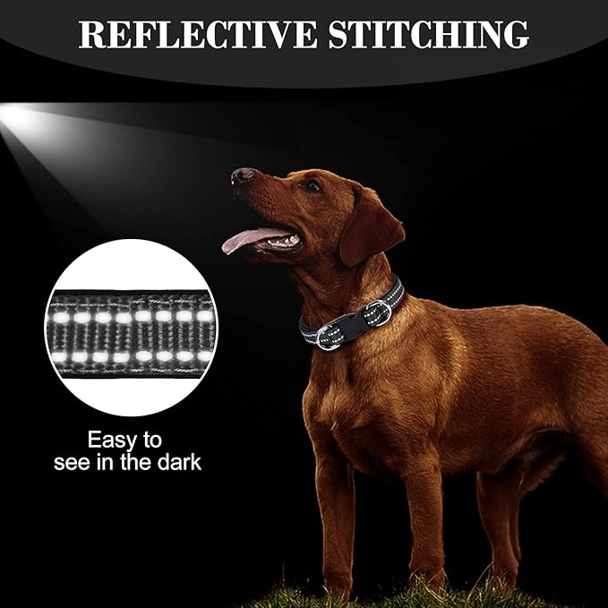 AUAUY Reflective Nylon Dog Collars, Adjustable Classic Pet Collars with Soft Neoprene Padding, Double Security Dual D-Ring and Quick Release Buckle for Small Puppy, Medium and Large Dogs (Black-M)