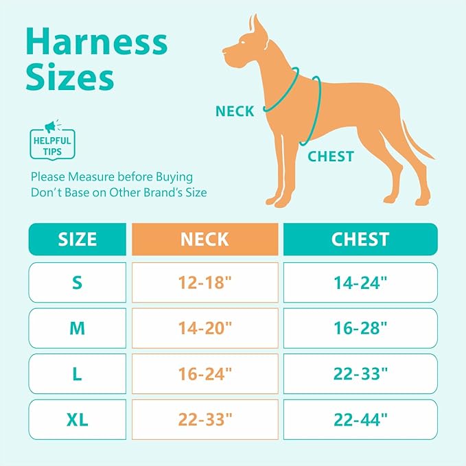 PoyPet No Pull Dog Harness, No Choke Front Clip Reflective Dog Vest with Soft Padded Vertical Handle, 3 Leash Attachments for Small Medium Large Dogs (Mint Blue,S)