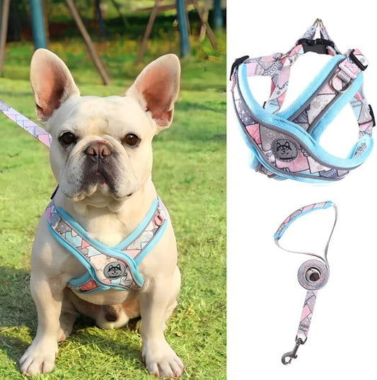 PT-010 Pet Dog Puppy No-Pull Harness Walking Training Harness with Leash Reflective Vest (Blue, X-Small)