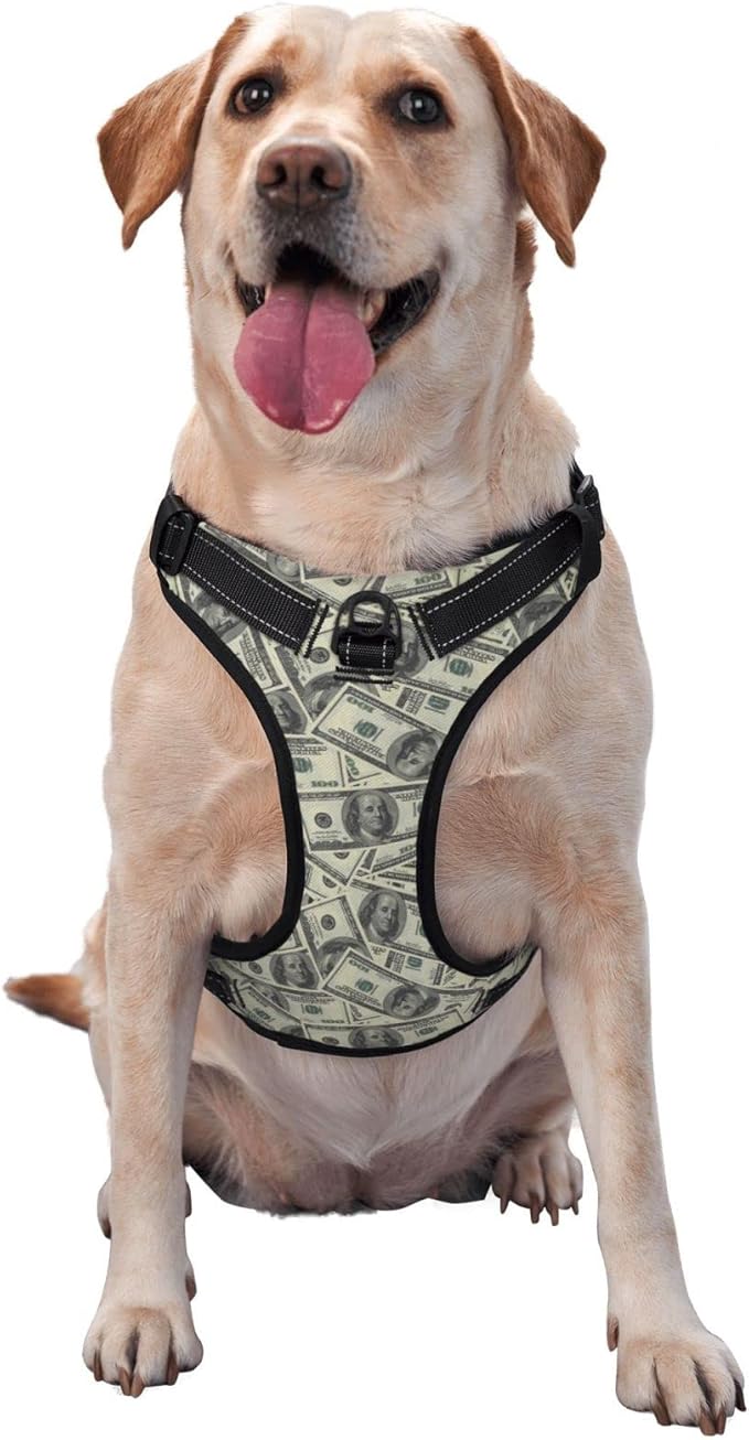 No Pull Dog Harness for Small Dogs Easy Walk Dog Vest Adjustable Collars Harnesses & Leashes Set Breathable Oxford Outdoor Walking Safety Reflective Strip Dollar Cash Prints
