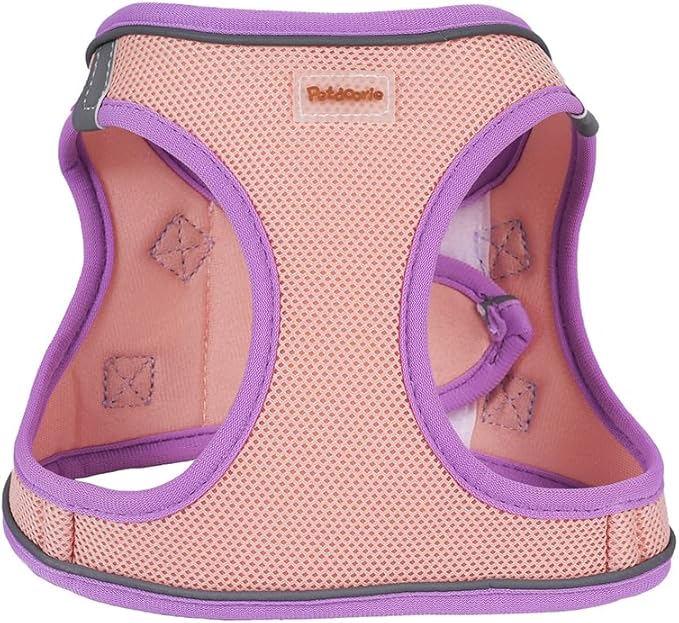 Soft Mesh Dog Harness and Leash Set, No-Chock Step-in Reflective Breathable Lightweight Easy Walk Escape Proof Vest Harnesses with Safety Buckle for Small Medium Dogs, Cats (Purple, XLarge)