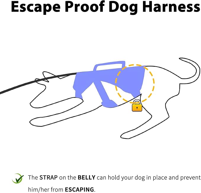 Escape Proof Dog Harness, Escape Artist Harness, Reflective Dog Harness with Handle, Durable,Adjustable Vest for Small Medium Large Dogs Walking, Training, and Running Gear(Technicolor Blue,S)