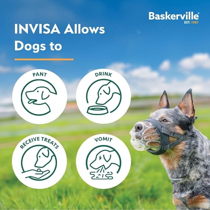 Baskerville INVISA Basket Dog Muzzle - Patented Humane Design with Facial Visibility, Padded Nose Band, Dog can Pant and Drink, Prevents Biting and Scavenging. Muzzle for Small Dogs (Size 1)