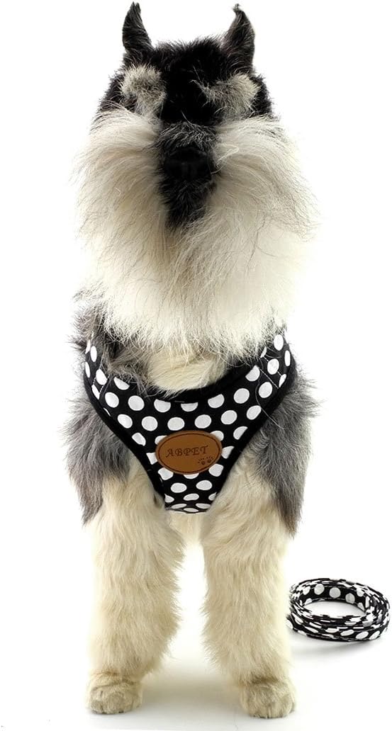 SMALLLEE_Lucky_Store New Soft Mesh Nylon Vest Pet Cat Small Medium Dog Harness Dog Leash Set Leads Black M