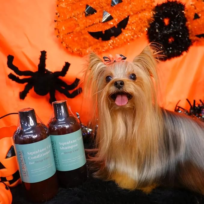 iGroom Squalane Care Dog Shampoo for Dropcoats, Luxury Pet Beauty Care, Reduce Breakage and Split Ends, Promotes Strong and Healthy Hair, Made in USA, 16 oz