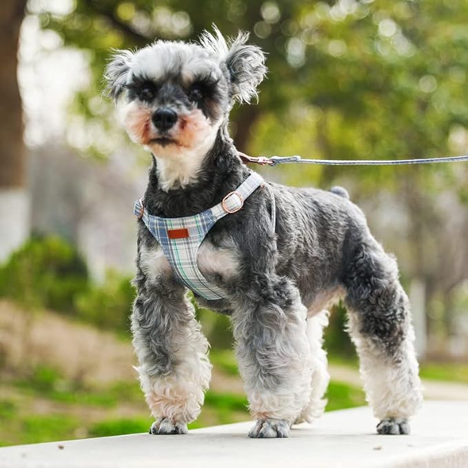 Small Dog Harness and Leash Set, Plaid Puppy Dog Harness XXS, Soft Adjustable Harness for Extra Small-Medium Pet Dogs and Cat No Pull, Blue Plaid, XXSmall